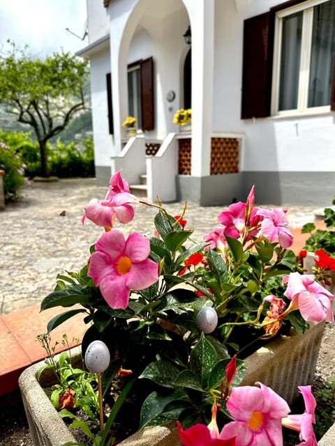 Simona House House in Ravello