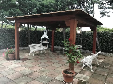 Patio, Garden