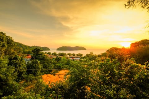 Garden, Sunset