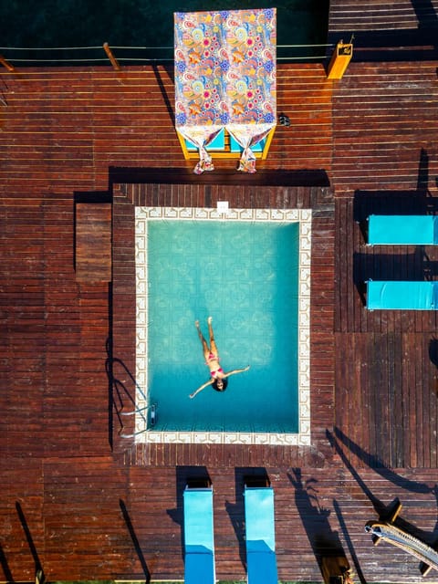 Swimming pool, Swimming pool