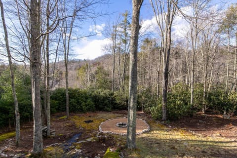 Four Bear Falls House in Banner Elk