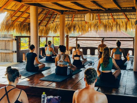 People, Activities, group of guests