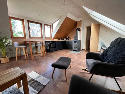 Kitchen or kitchenette, Living room, Seating area, Dining area