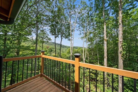 The Mountainbriar Lodge House in Beech Mountain