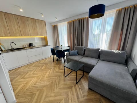 Kitchen or kitchenette, Living room, Seating area, Dining area