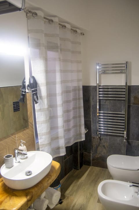 Shower, Toilet, Bathroom, bidet