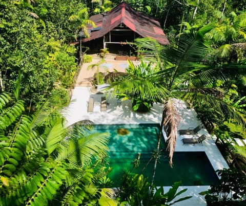 Day, Natural landscape, Garden, Garden view, Pool view, Swimming pool, sunbed