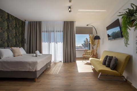 Bed, TV and multimedia, Photo of the whole room