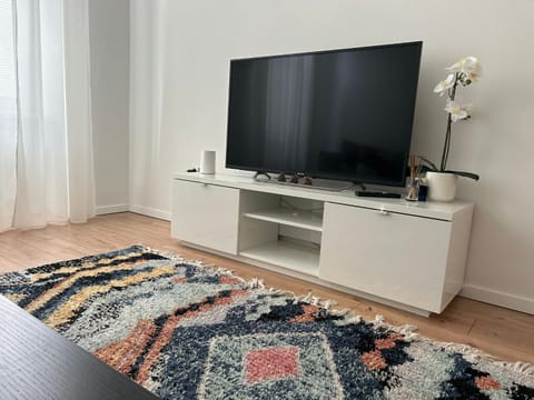 TV and multimedia