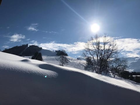 Ferienwohnung Hinterthal Apartment in Salzburgerland
