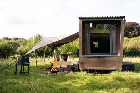 Day, Natural landscape, Garden, Garden view