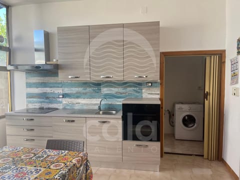 Kitchen or kitchenette, oven, washing machine