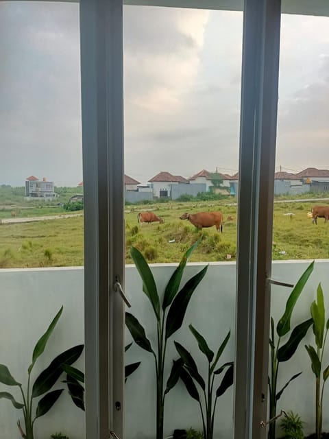 Munggu Pavilion House in North Kuta