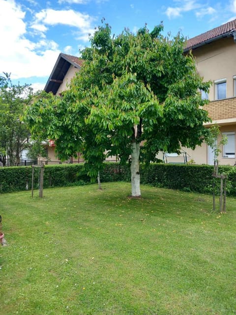 Apartment Ramdedovic1 Apartment in Federation of Bosnia and Herzegovina