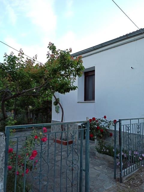 Property building, Garden, Garden view