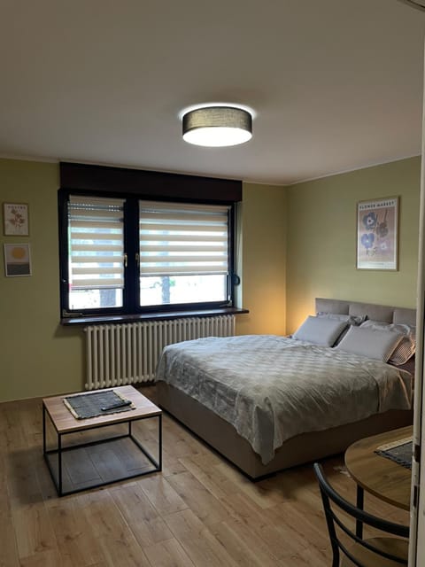 Studio Petra Apartment in Vojvodina