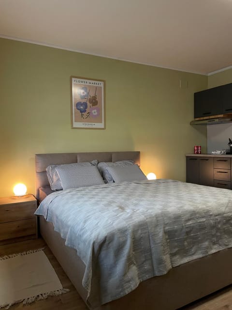 Studio Petra Apartment in Vojvodina