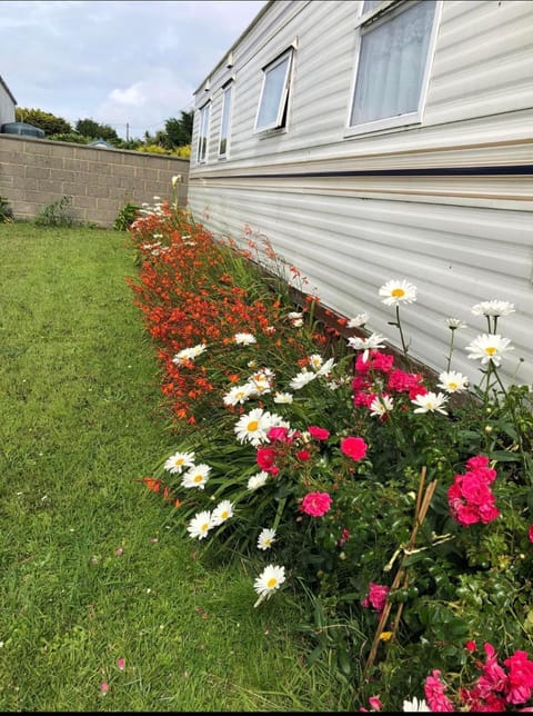 Property building, Garden view