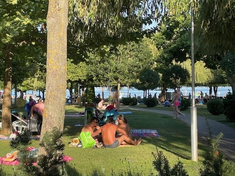 Natural landscape, Garden view, group of guests