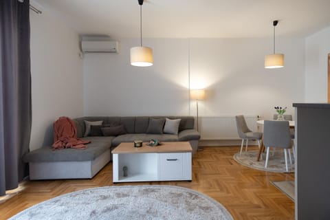 Living room, Photo of the whole room, Seating area, air conditioner