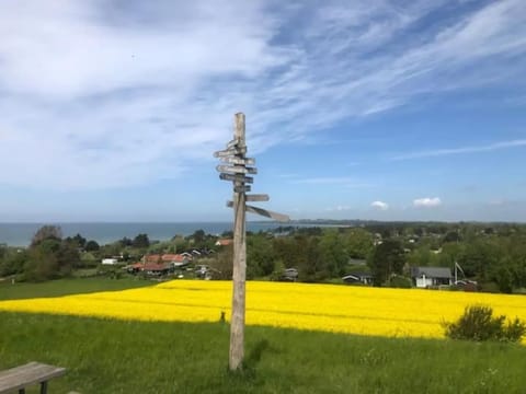 Holiday house by a fantastic beach and free WiFi House in Zealand