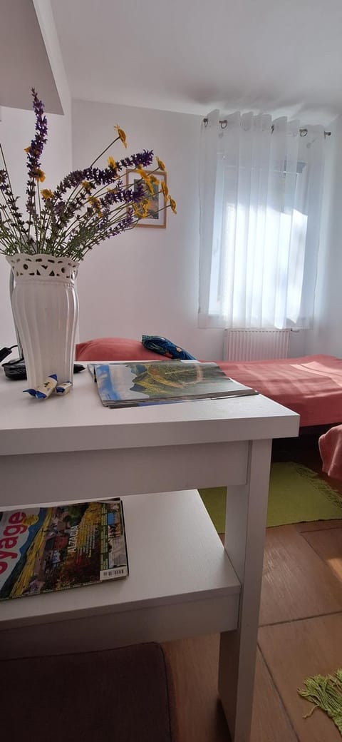 Sielanka Wydmy i Las Apartment in Pomeranian Voivodeship