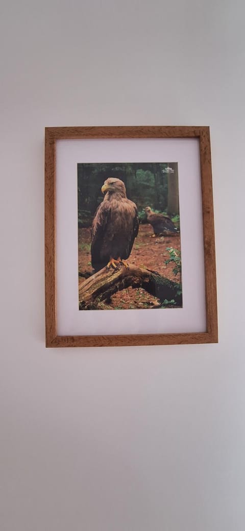 Sielanka Wydmy i Las Apartment in Pomeranian Voivodeship