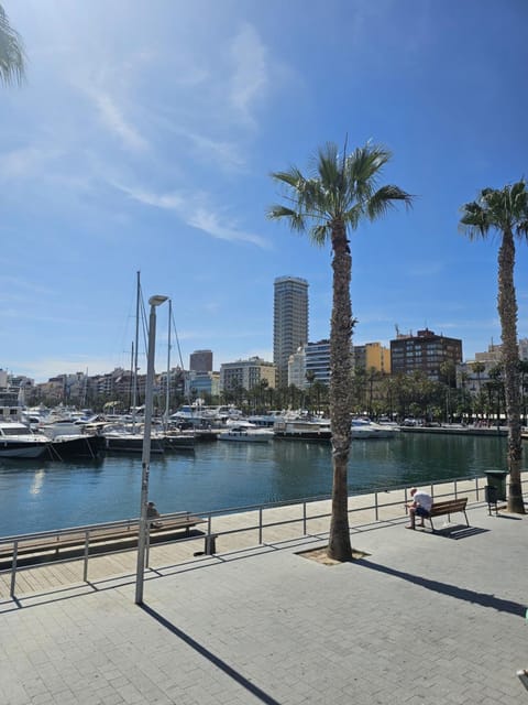 Property view