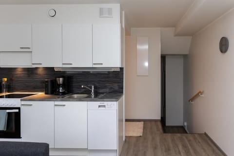 Kitchen or kitchenette, dishwasher, oven, stove