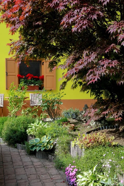 Property building, Day, Garden, Garden view