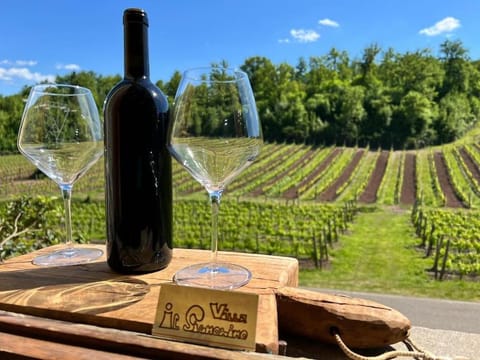 Villa Il Signorino House in Tuscany