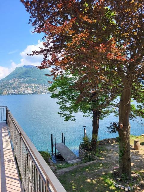 Lake view