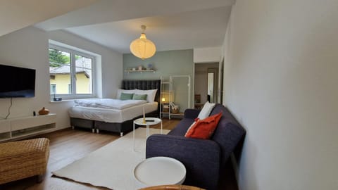 Bed, TV and multimedia, Living room, Seating area