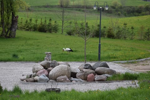Spring, Day