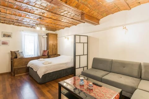 Bed, Living room, Photo of the whole room, Seating area, Bedroom