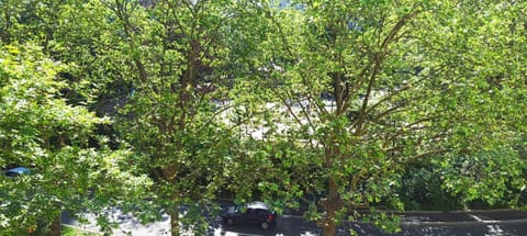 Spring, Day, Garden, Text overlay, Garden view