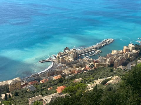 la casa del porto Apartment in Camogli