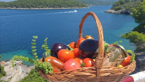 PomaloVilla at Gradina Cove Villa in Dubrovnik-Neretva County