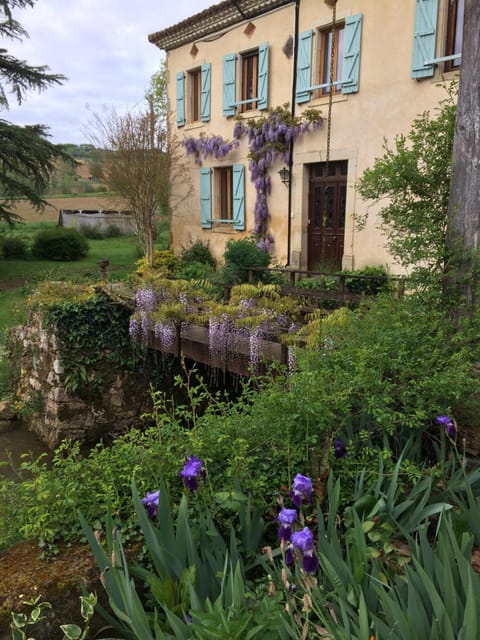 Property building, Spring, Garden, Garden view