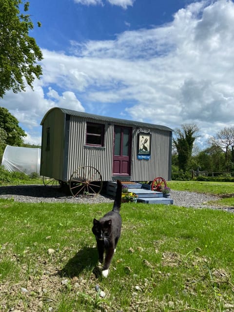 The Hares Hut at Carrigeen Glamping Campground/
RV Resort in County Kilkenny