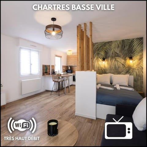 Chartres - Le Saint Pierre Apartment in Chartres