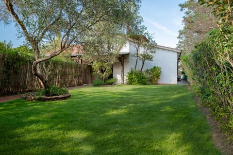 Patio, Garden, Garden view