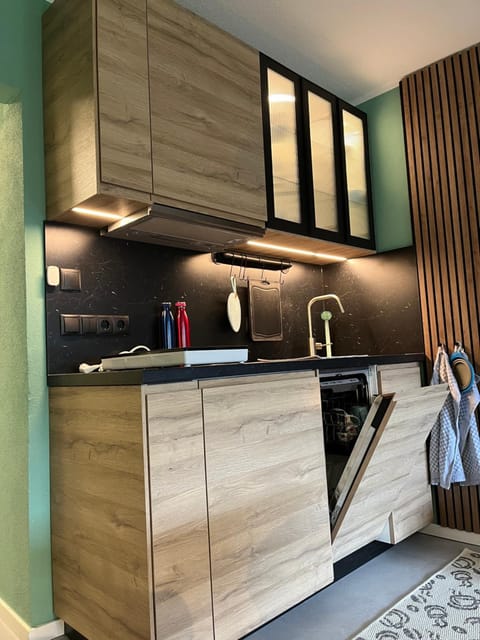 Kitchen or kitchenette, dishwasher, stove