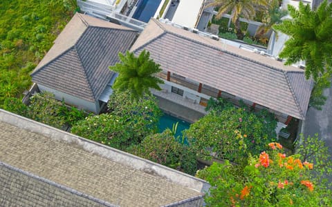 Property building, Spring, Day, Garden, Garden view