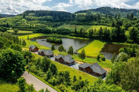 Bird's eye view, Lake view