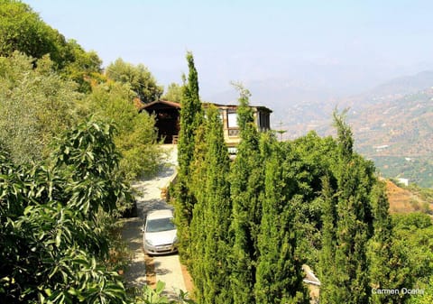 Property view