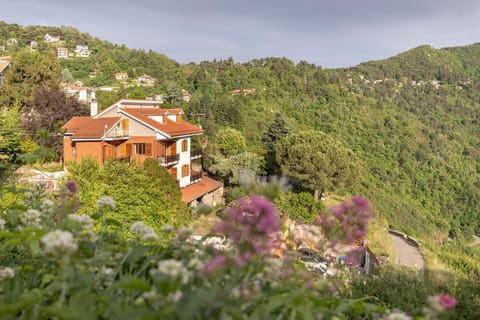 Property building, Mountain view