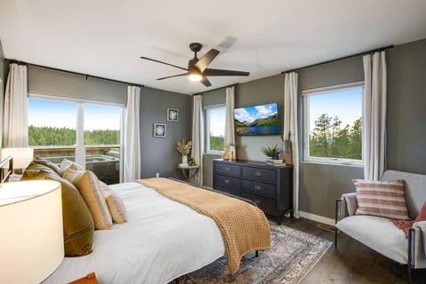 Mountain and Pond View, HotTub, Stars, Kid and Dog Friendly House in Colorado