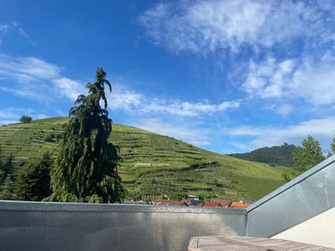 Natural landscape, Mountain view