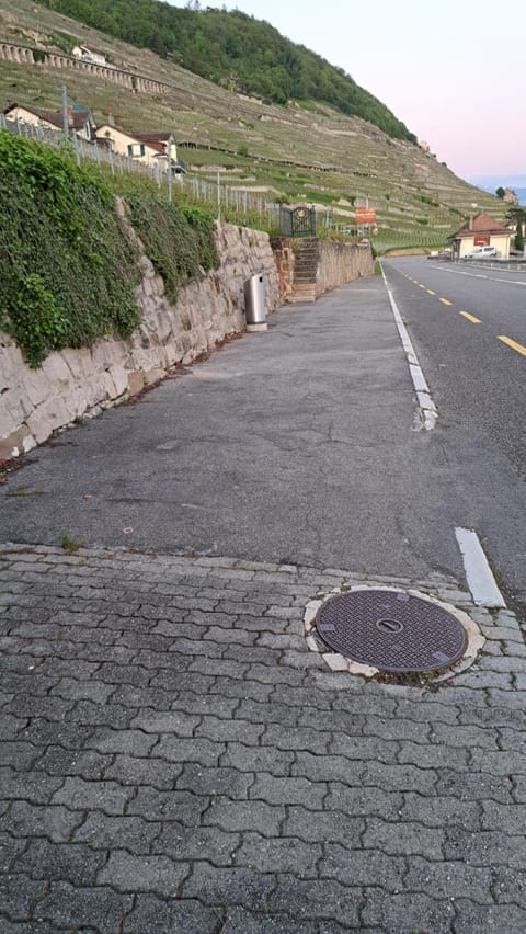 "Les Échalas" La capite, domaine de Calamin House in Fribourg, Switzerland